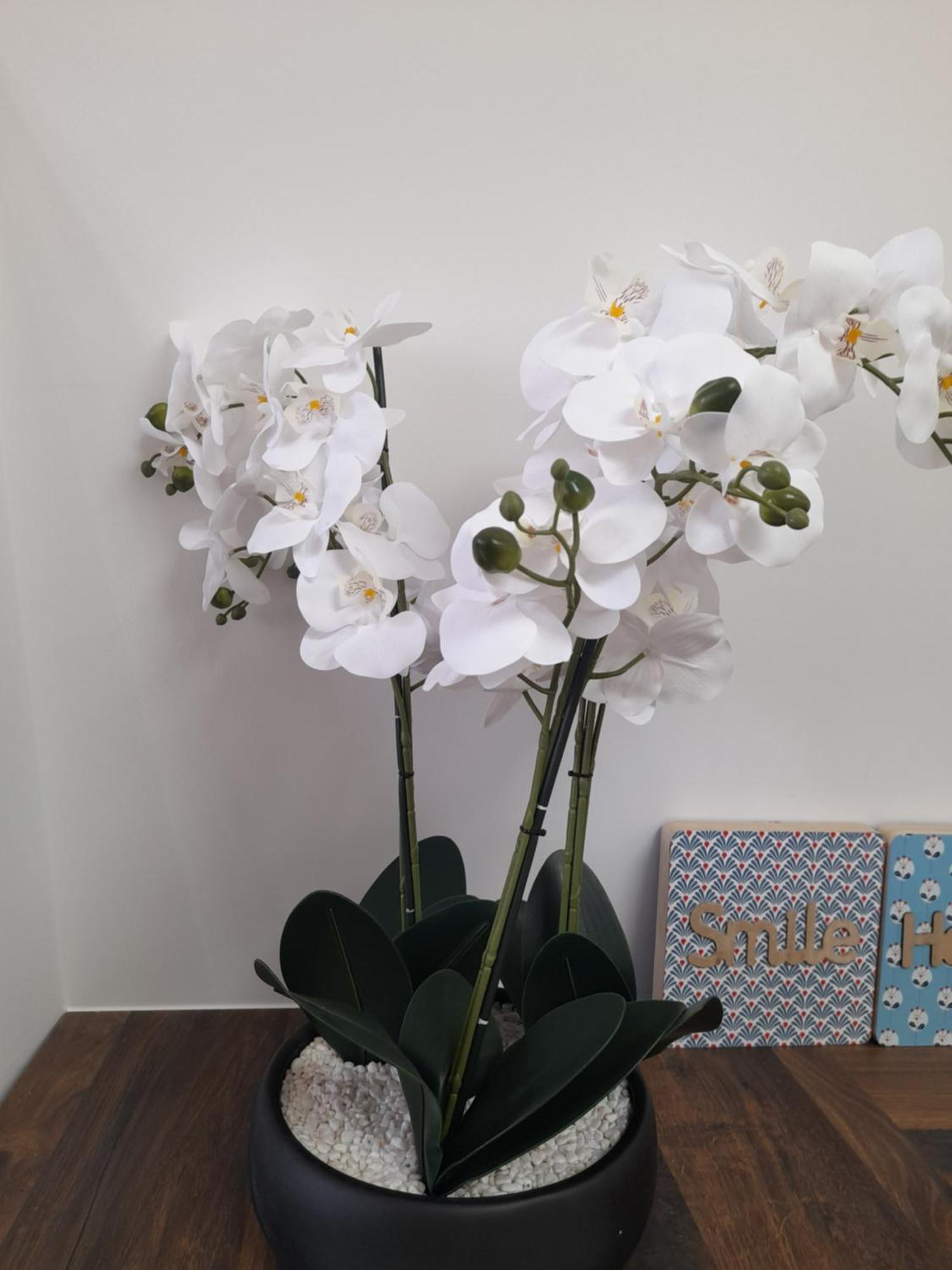 Appart Dans Petit Chateau En Centre Ville Lagny-sur-Marne Luaran gambar